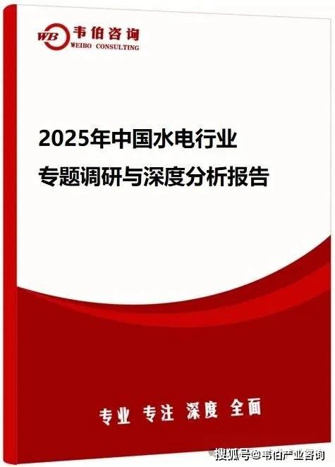 韦伯咨询：2025年中国水电行业专题调研